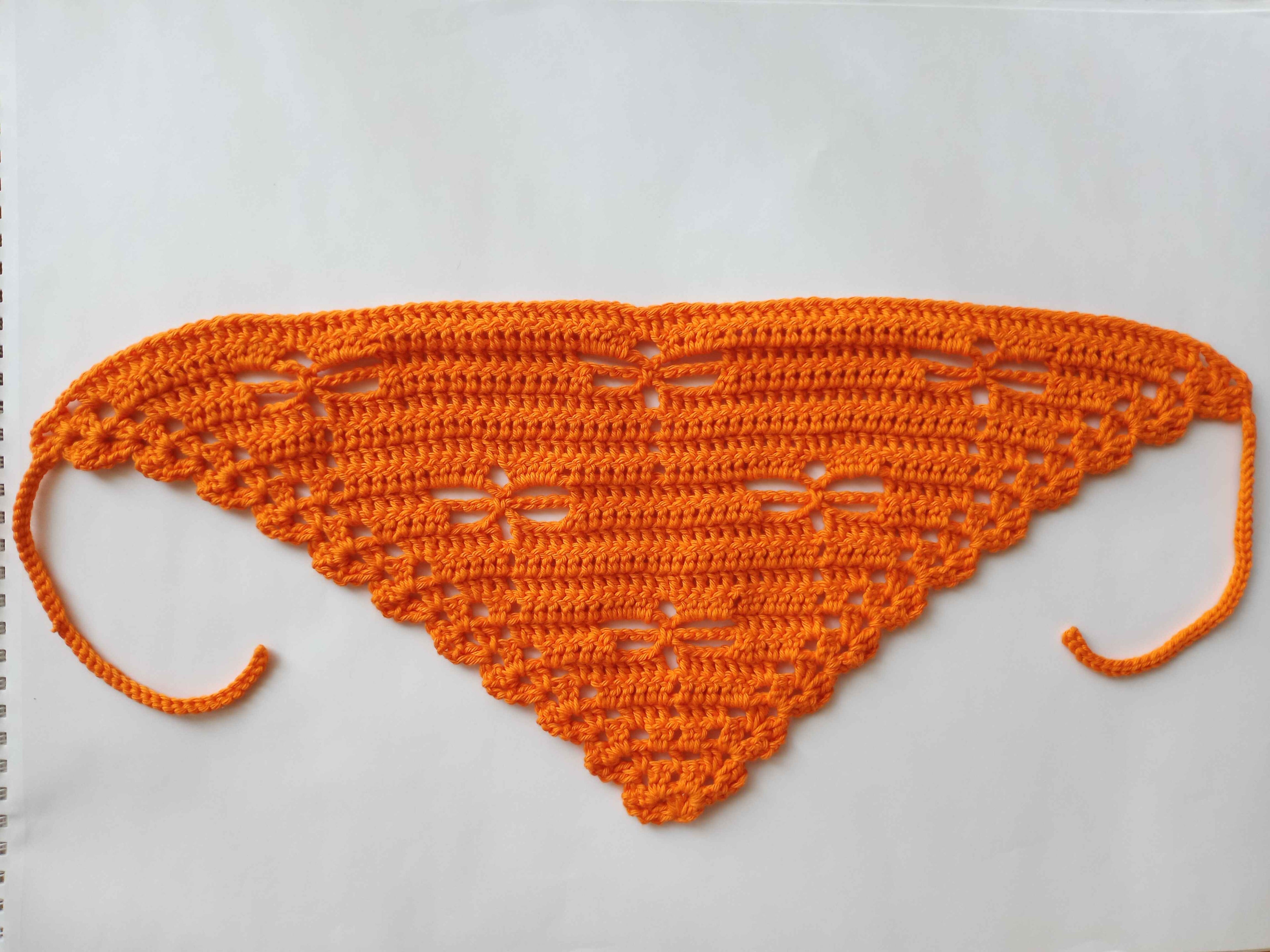 Dragonfly Shawl Bandana